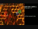 【TAS/Any%記録更新】DONKEY KONG COUNTRY 2 (スーパードンキーコング2) World4