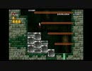 アクションの王道！NewスーパーマリオブラザーズWii実況part11