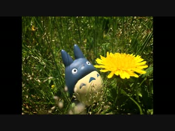 【山】さんぽに行こう【写真集】