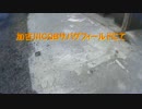 初心者が行くサバイバルゲーム【加古川CQBサバゲフィールド】　part5