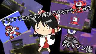 【terraria】そうだ！いろいろチャレンジしよう【テラリア】