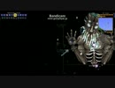 Terraria 自動ワープ決戦場でMoon Lord(Normal)を倒す