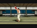 【ストリートファイターMMD】リュウの柳生心眼流