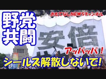 【民主主義ってなんだのシールズ奥田さん】 効果はあったと勝利宣言！