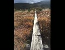 山下達郎【世界の果てまで】歌ってみた