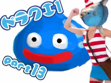 【FC版DQ1】祝30周年！初見でロト三部作制覇！【実況】part13