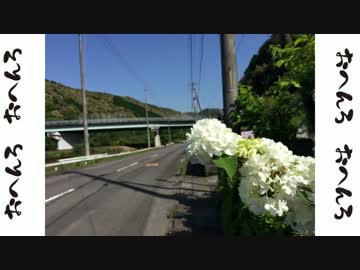 ゆるりおへんろ 歩き旅 17日目（前編）