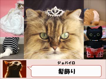 歌詞に出てくる「身に付けるもの」を数えてみた