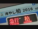冷やし柏2016