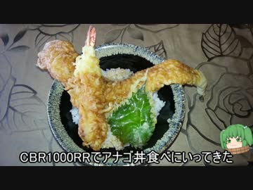 【CBR1000RR】アナゴ丼食べにいってきた【ツーリング】