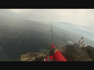 マグロのヒットシーン!　もちょお　【魚釣り】