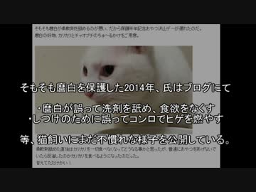 ねこかます騒動まとめ