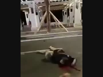 [映像/注意] 南フランスでテロの可能性、観客にトラック 7.15