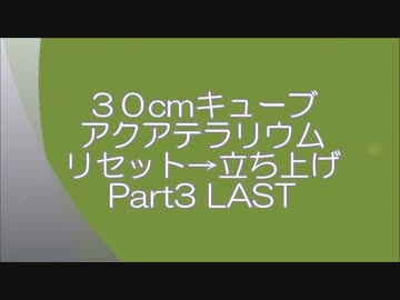 ３０cmキューブ アクアテラリウム リセット→立ち上げPart3