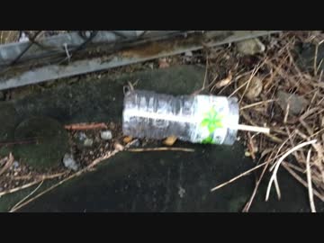 蟻戦争＃16 涙の雨編