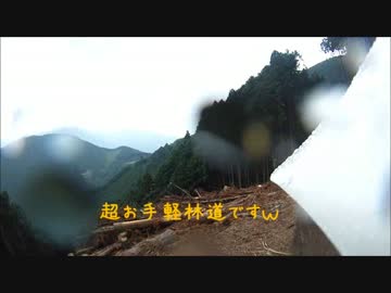 【KLX250】林道桂山線走ってきた【静岡】