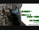 昆虫解説付!1周虫コンプ小説家への軌跡…【ぼくなつPSP】8月12日前編