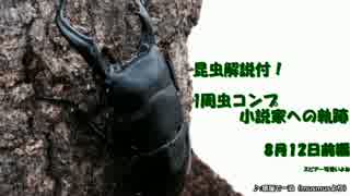 昆虫解説付!1周虫コンプ小説家への軌跡…【ぼくなつPSP】8月12日前編