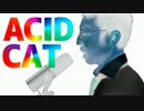 ACID CAT / すらぷるため Beatbox Remix