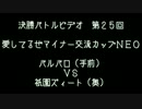 第２５回　愛してるぜマイナー交流カップＮＥＯ　決勝バトルビデオ