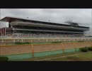 【WP8-2015】現役中に亡くなった馬と､その子孫縛り-改044回