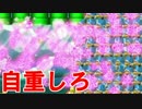 【スン実況】鉄壁のカメック【マリオメーカー】