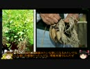 『ゆっくり実況』安定を目指すCataClysm:DDA サバイバル編　パート5