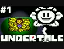 【実況】Undertale -アンダーテール- 誰も死ぬ必要のないRPG　#1【Nルート】