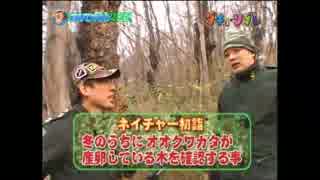 オオクワを採りに