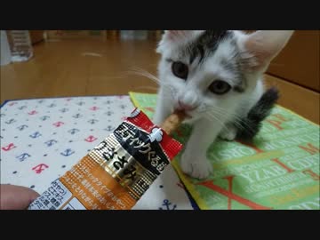 おやつ【蘭と刹那７】