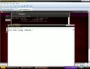 侵入Windows XPの