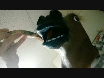 【オトナも遊ぼう】続・ハゼ釣り行こーZE【Catch and Eat】