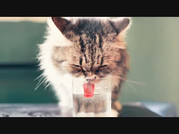 お姉ちゃんの耳かき【朝倉】