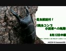昆虫解説付!1周虫コンプ小説家への軌跡…【ぼくなつPSP】8月12日中編