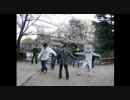 【名古屋】ハレ晴レユカイを踊るオフ 4月6日【鶴舞公園】