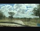 2015年9月マリ共和国の旅トンブクトゥ強行軍篇
