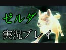 【実況】俺、世界を救います ゼルダの伝説 トワイライトプリンセスHDPart12