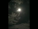 井上陽水【帰れない二人】歌ってみた