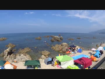 日本海でダイビング #1