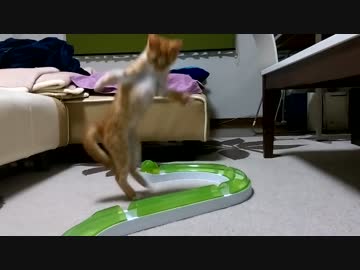 謎の直立ステップ