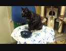 おやつの時間！　20160721