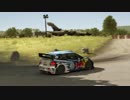 Dirt Rally_ Flugzeugring Germany .POLO RALLY 2：43：310