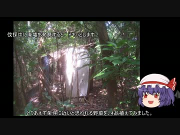 ゆっくり農民36畑を拓いてみませんか？＃7