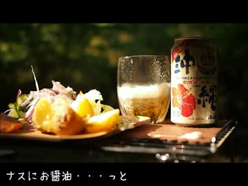 野良猫式ソロキャンプ文月の巻2016後編 今宵は野外バル