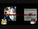 ゆっくり　簡単にscpについて話す　その31