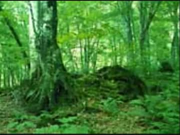 風のとおり道～リラクゼーションピアノ～