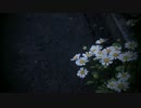 【初投稿】★なまえのないうた★歌ってみた【羽月（はづき）】