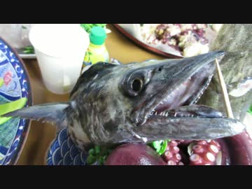 【にしやんFC】ジギング第4弾調理編 完成！
