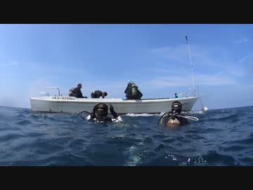日本海でダイビング #2
