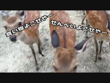 メタル野郎のキャンツーデビューin琵琶湖 Part3「荒ぶる聖獣」